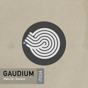 收聽Gaudium的Wake Up (Original Mix)歌詞歌曲