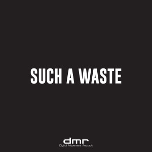 Album Such A Waste from 