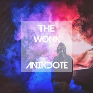 The Wonk dari Anikdote