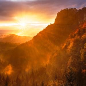 Listen to Triumph of Love song with lyrics from Pavlo Butorin
