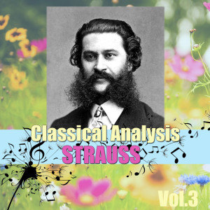 收聽Sverdlovsk Symphony Orchestra的On the beautiful blue Danube Op 314歌詞歌曲