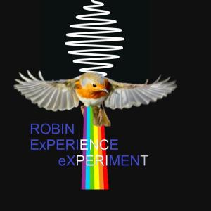 Robin Experience eXperiment