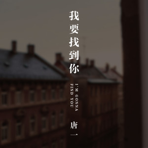 Album 我要找到你 from 唐一