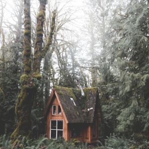 Album Dawn Melodies | Ultimate Relaxation Deep Sleep from 