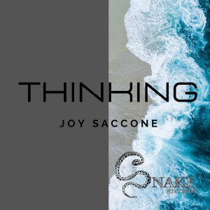 Dengarkan lagu Thinking nyanyian Joy Saccone dengan lirik