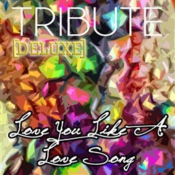 ดาวน์โหลดและฟังเพลง ove You Like a Love Song (Selena Gomez & The Scene Tribute) พร้อมเนื้อเพลงจาก Star Power
