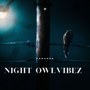 Night Owl Vibez OV
