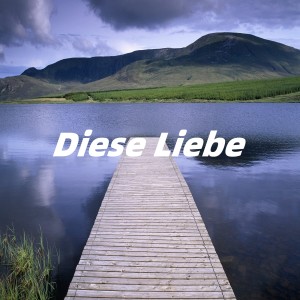 Album Diese Liebe from Dxy