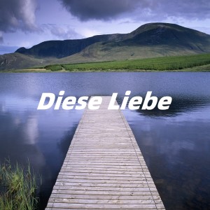 Dxy的專輯Diese Liebe