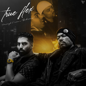 Dengarkan lagu True Flex nyanyian Parmish Verma dengan lirik