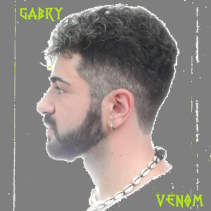 Gabry的专辑Venom