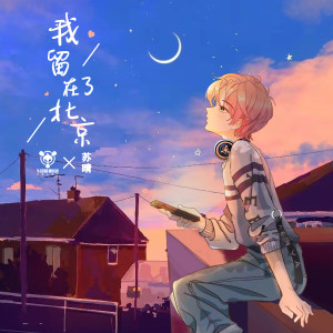 收聽蘇晴的愛你這件事歌詞歌曲