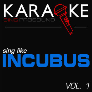收聽ProSound Karaoke Band的Megalomaniac (In the Style of Incubus) [Karaoke with Background Vocal]歌詞歌曲