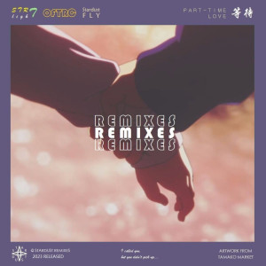 Album 等待 (Part-Time Love [Remixes Pt. 1]) from STRlighT