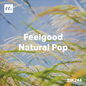 Album Feelgood Natural Pop from Thomas Spicq