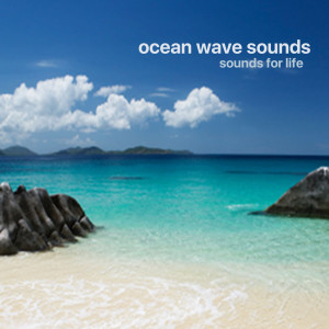 Dengarkan lagu Waves Lapping on the Beach nyanyian Sounds for Life dengan lirik