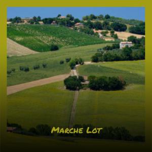 Various的专辑Marche Lot