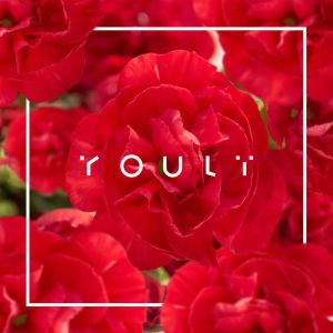 Listen to Lakat song with lyrics from YOULÏ