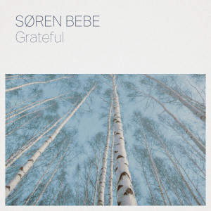 Listen to Grateful song with lyrics from Søren Bebe