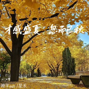 Album 才感盛夏 忽而已秋 from 神羊esh