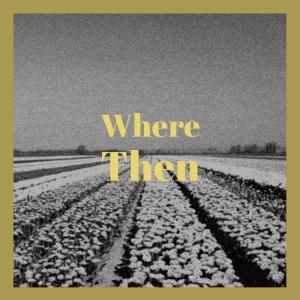 Various Artists的專輯Where Then