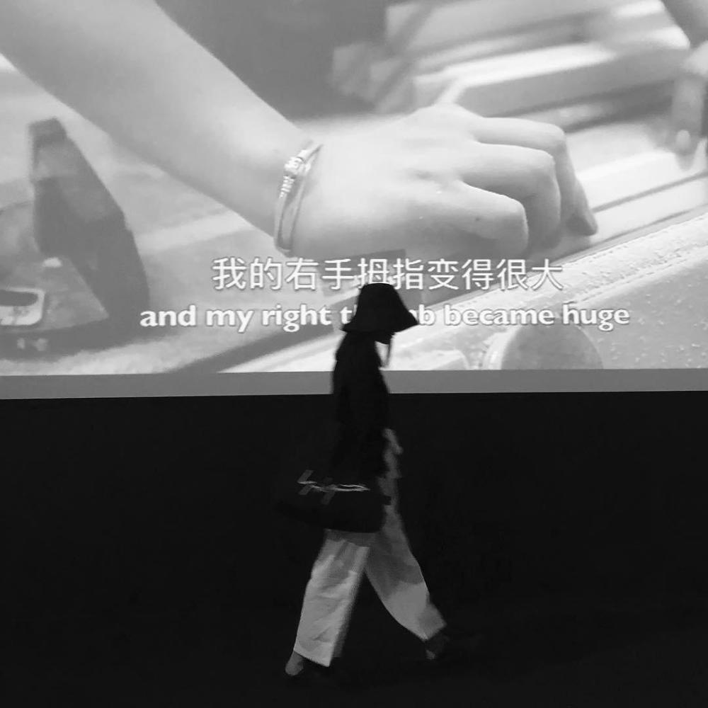 Erhu（抖音热播）