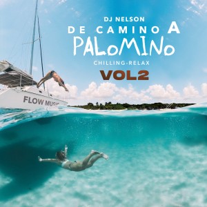 Album De Camino a Palomino, Vol. 2 (Explicit) from DJ Nelson