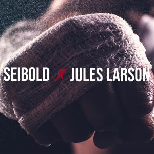 ดาวน์โหลดและฟังเพลง Put Me in the Ring พร้อมเนื้อเพลงจาก Seibold