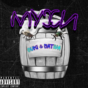 Listen to Мухи song with lyrics from Sativa