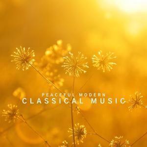 Peaceful Modern Classical Music dari Robyn Goodall