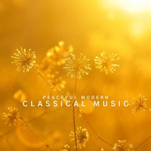 Peaceful Modern Classical Music dari Chris Snelling