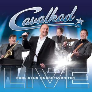 ดาวน์โหลดและฟังเพลง Elvis-medley พร้อมเนื้อเพลงจาก Cavalkad