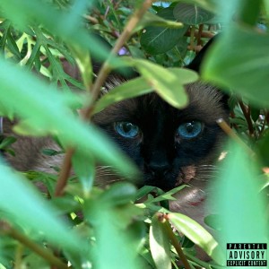 Listen to Felis song with lyrics from Lilo Balão