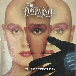 The Rob Parnell Band的专辑This Perfect Day