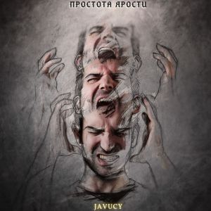 Album Простота ярости from Javucy