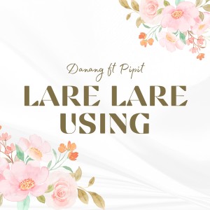 Danang的專輯LARE LARE USING