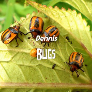Dennis的專輯Bugs