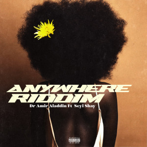 Album Anywhere Riddim (Explicit) from Dr Amir Aladdin