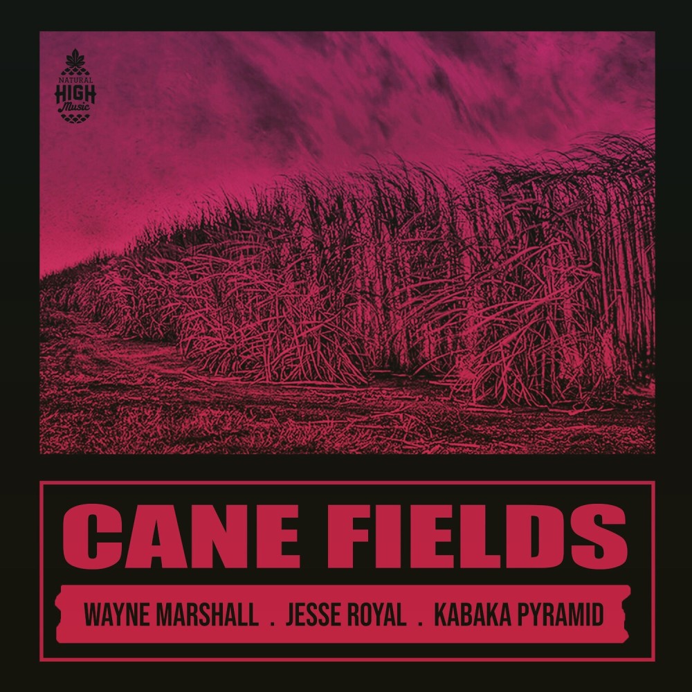 Cane Fields (Explicit)