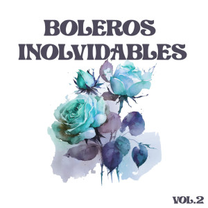 VariosArtistas的專輯Boleros Inolvidables, Vol.2
