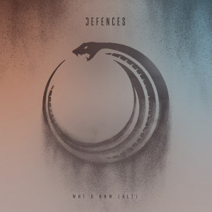 Album Wht U Knw (Alt) from Defences