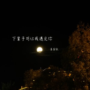 Listen to 下辈子别让我遇见你 (完整版) song with lyrics from 真真敬