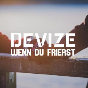 Listen to Wenn Du frierst (Radio Edit) song with lyrics from Devize