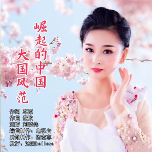 Album 崛起的中国大国风范 from 刘晓伟