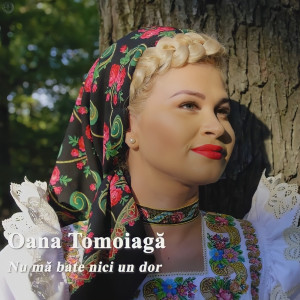 Listen to Nu Mă Bate Nici Un Dor song with lyrics from Oana Tomoiaga