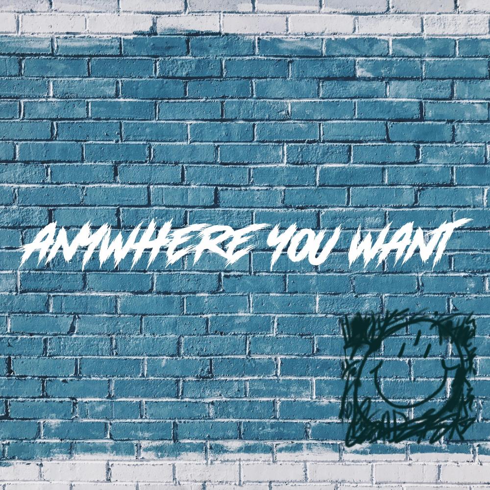 ANYWHERE YOU WANT