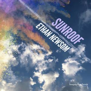 ดาวน์โหลดและฟังเพลง Sunroof พร้อมเนื้อเพลงจาก Ethan Newsom