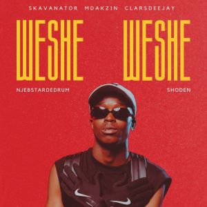 SkavaNator的专辑Weshe Weshe (Explicit)
