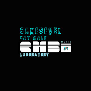 收聽sameseven的Acid Kidd歌詞歌曲