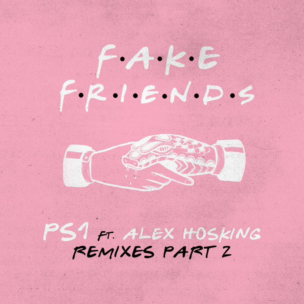 Fake Friends (Damon Hess Remix)